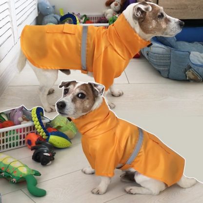 Куртка-дождевик для собаки