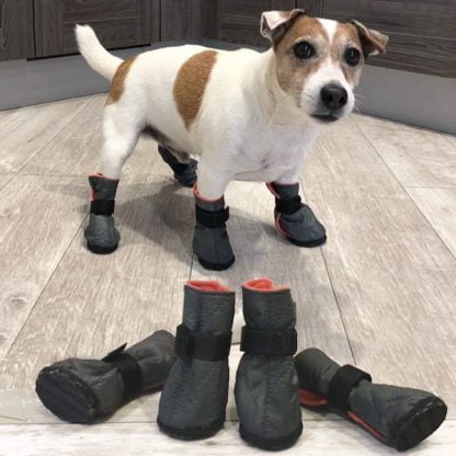 Ботиночки для собаки