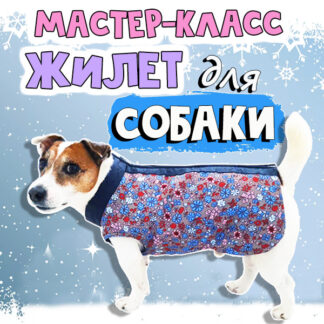 Жилет для собаки. Мастер-класс