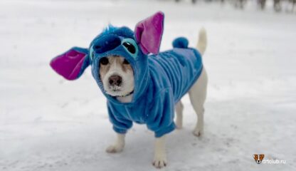 Одежда для собак Disney Stitch