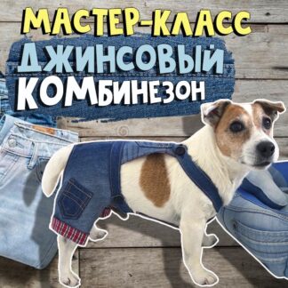 Джинсовый комбинезон для собаки. Мастер-класс