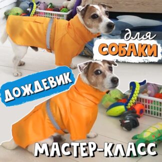 Попона дождевик для собаки. Мастер-класс