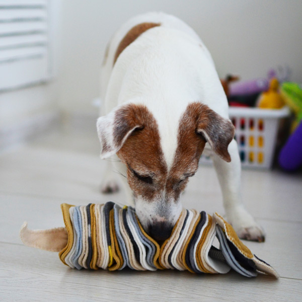 Игрушка - нюхательная собачка